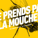 Cursos para adolescentes francófonos