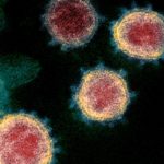 Expo: Coronavirus, ce que sait la science